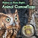 Hidden in Plain Sight
