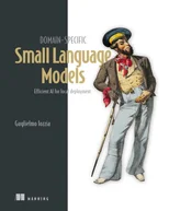 Domain-Specific Small Language Models