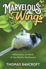 Marvelous Wings