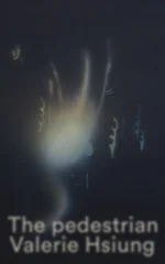 The Pedestrian
