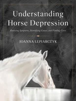 Understanding Horse Depression