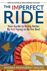 The Imperfect Ride