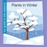 Plants in Winter