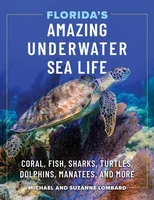 Florida's Amazing Underwater Sea Life