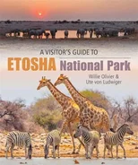 A Visitor’s Guide to Etosha National Park