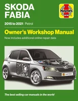 Skoda Fabia 2015 to 2021 Petrol