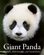 Giant Panda