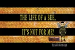 The Life of a Bee, It's Not for Me!