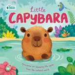 Little Capybara