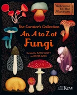 The Curator's Collection