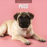 Pugs 2027 Square Wall Calendar