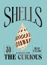 Shells