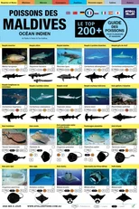 Maldives Guide Des Poissons