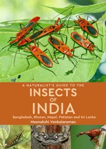 A Naturalist's Guide to the Insects of India