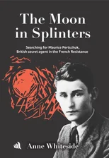 The Moon in Splinters