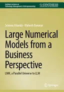 Large Numerical Models from a Business Perspective