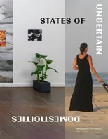 States of Uncertain Domesticities