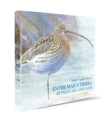Between Sea and Land / Entre Mar y Tierra