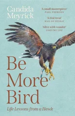 Be More Bird