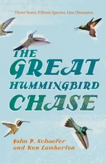The Great Hummingbird Chase