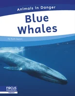 Blue Whales